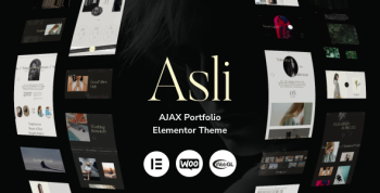 Asli Theme (AJAX Portfolio Elementor WordPress Theme)