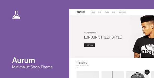Aurum Theme - WordPress & WooCommerce Shopping Theme