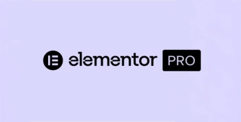 Theme Canal Elementor Pro (Advanced)