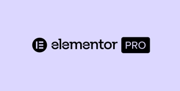 Elementor Pro Expert Plan