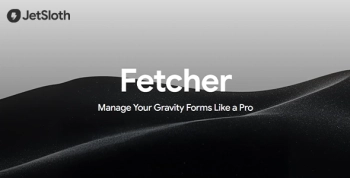 Gravity Forms Fetcher
