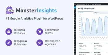 MonsterInsights Pro