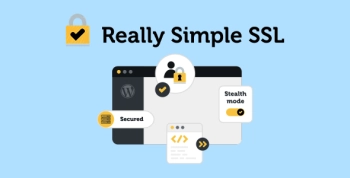 Really Simple Security Pro