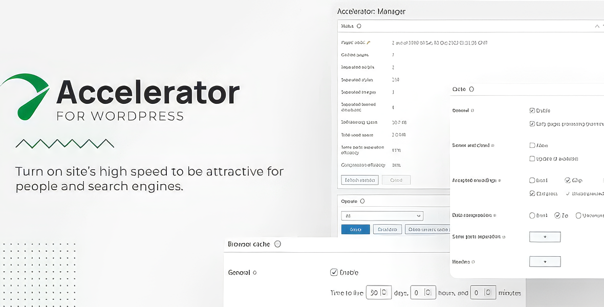 Seraphinite Accelerator Premium
